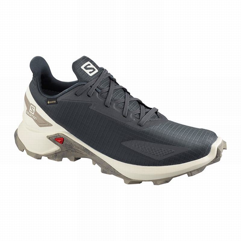 Zapatillas Trail Running Salomon Hombre Gris Oscuro - Salomon Argentina ALPHACROSS BLAST GTX ,718539